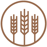 Morgan's Farm To Table